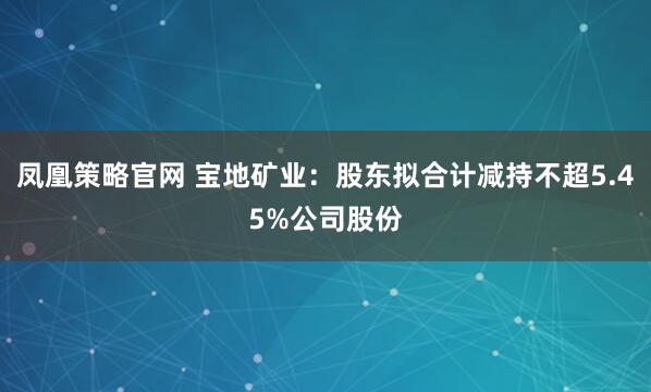 凤凰策略官网 宝地矿业：股东拟合计减持不超5.45%公司股份
