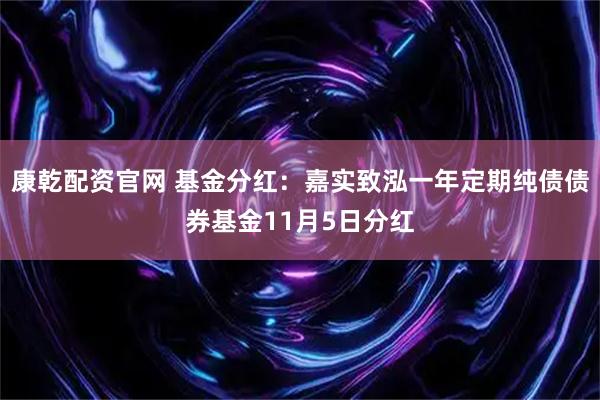 康乾配资官网 基金分红：嘉实致泓一年定期纯债债券基金11月5日分红